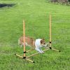 6 Piece Dog Agility Training Set with High Jump Hurdle Bar Adjustable Height Carry Bag Whistle Orange