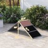 Dog Agility Equipment Ramp with Non-slip Surface, A-frame, Agility Equipment Ramp for All Breed Dogs, Gray