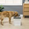 Raised Pet Feeder, Large Pet Dish Bowl Set with Storage Drawer, 2 Steel Bowls, White